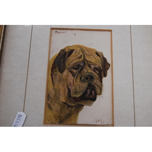 79 - Portrait prints of dogs, initialled JW, also a print photograph after J Christopher Davies, 'On the ... 