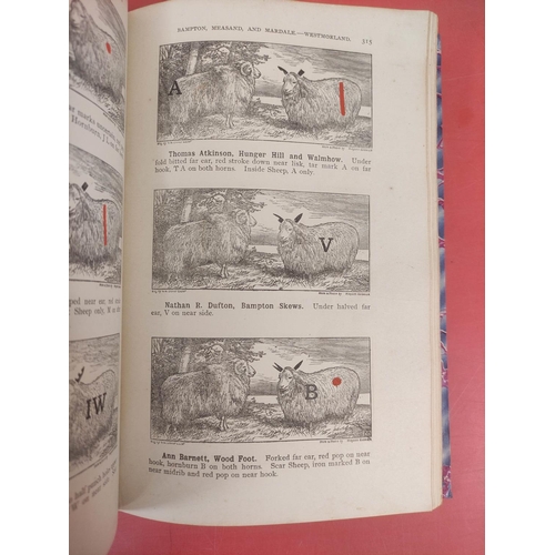 126 - Shepherd's Guide.  Thomas Wilson's Shepherd's Guide. Eng. illus. Lacking title page but wi... 