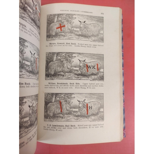 126 - Shepherd's Guide.  Thomas Wilson's Shepherd's Guide. Eng. illus. Lacking title page but wi... 