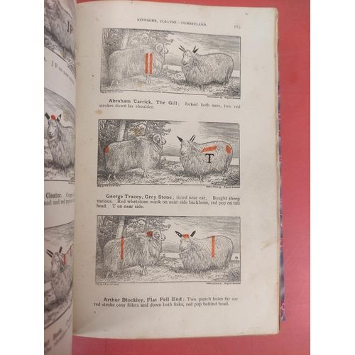 126 - Shepherd's Guide.  Thomas Wilson's Shepherd's Guide. Eng. illus. Lacking title page but wi... 