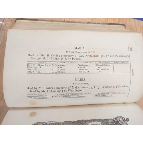 131 - COATES GEORGE, of Carlton, Near Pontefract.  The General Short-Horned Herd-Book Containing the Pedig... 