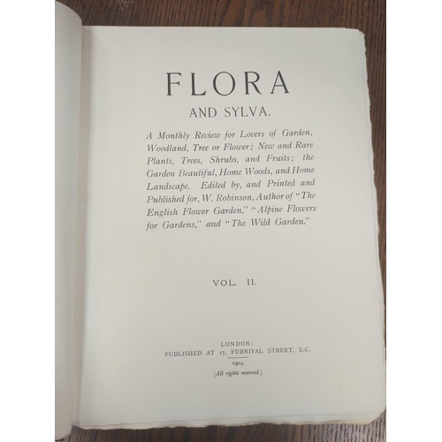 206 - ROBINSON W. (Ed).  Flora & Sylva, A Monthly Review. Bound vols. 2 & 3. Col. & ... 