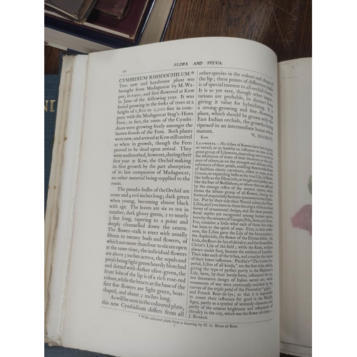 206 - ROBINSON W. (Ed).  Flora & Sylva, A Monthly Review. Bound vols. 2 & 3. Col. & ... 