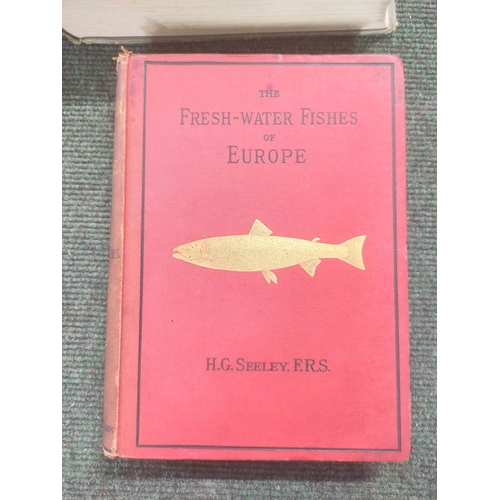 231 - SEELEY H. G.  The Fresh-Water Fishes of Europe. Litho frontis & text illus. Quarto. 18... 