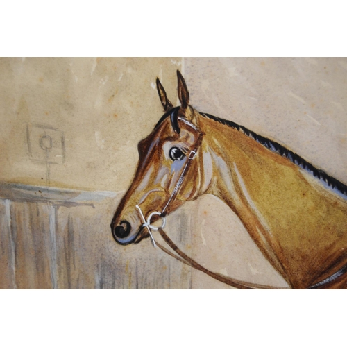 275 - British SchoolPortrait of a horse in a stableWatercolour, 35cm x 47cm.