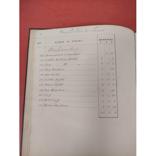 111 - Rothbury Infields.  Corn & Hay Tythe for the Year 1746. Manuscript account pocket-book... 