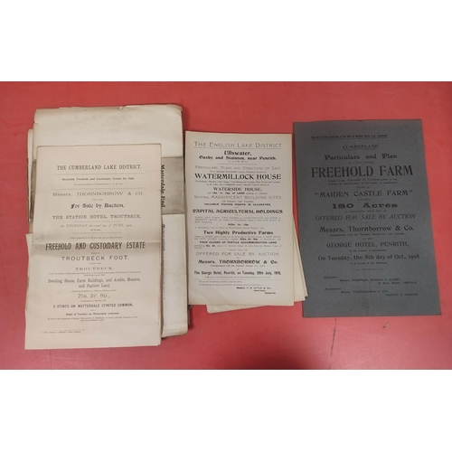 117 - Lake District - Estate & Property Sales.  Bundle of folio & other old particulars ... 