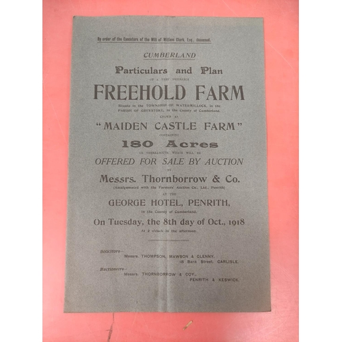 117 - Lake District - Estate & Property Sales.  Bundle of folio & other old particulars ... 