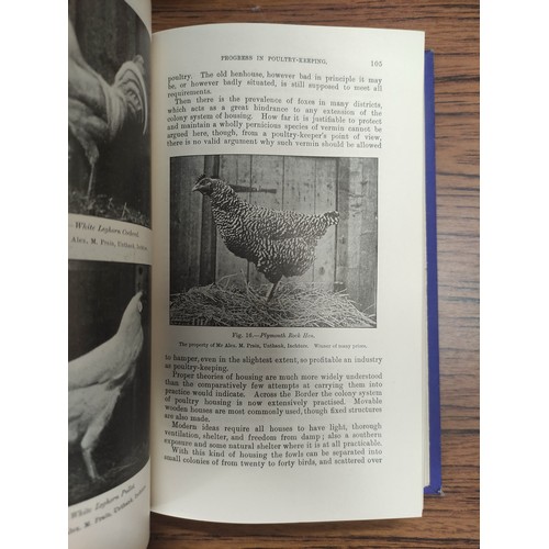 140 - Shorthorn Breeders' Review.  Illus. & adverts. Orig. brds. 1937; also T. B. Marson, Th... 