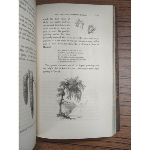 149 - MONTEATH ROBERT.  The Forester's Guide or A Practical Treatise on the Training & Pruning of Fore... 