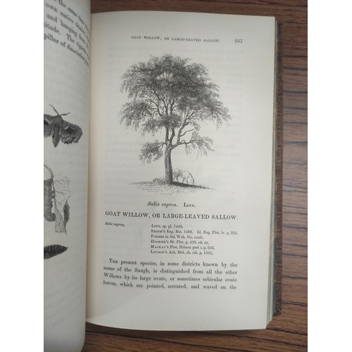 149 - MONTEATH ROBERT.  The Forester's Guide or A Practical Treatise on the Training & Pruning of Fore... 