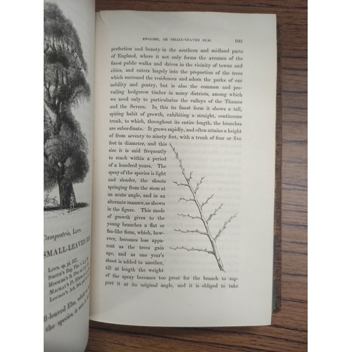 149 - MONTEATH ROBERT.  The Forester's Guide or A Practical Treatise on the Training & Pruning of Fore... 