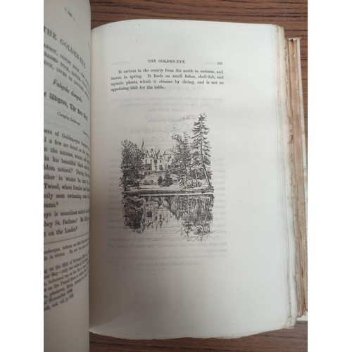 154 - MUIRHEAD GEORGE.  The Birds of Berwickshire. 2 vols. Ltd. ed. 8/100 on hand-made papers. E... 