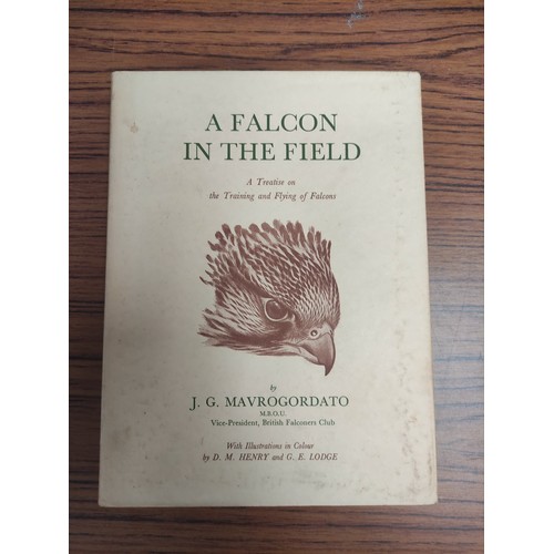 158 - MAVROGORDATO J. G.  A Hawk for the Bush & A Falcon in the Field. 2 vols. Col. & ot... 