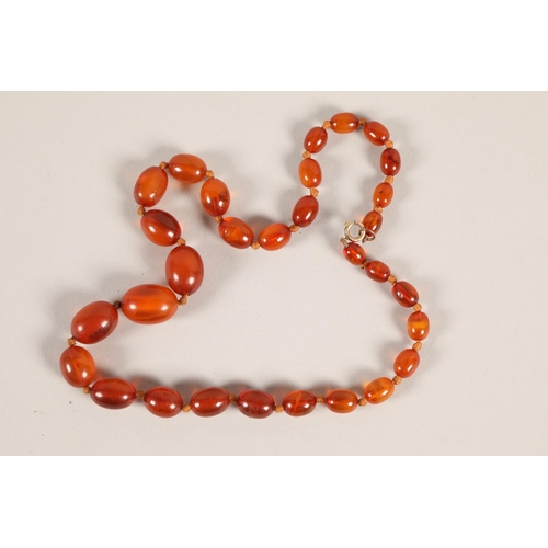 42 - Ladies graduating amber coloured bead necklace with yellow metal clasp