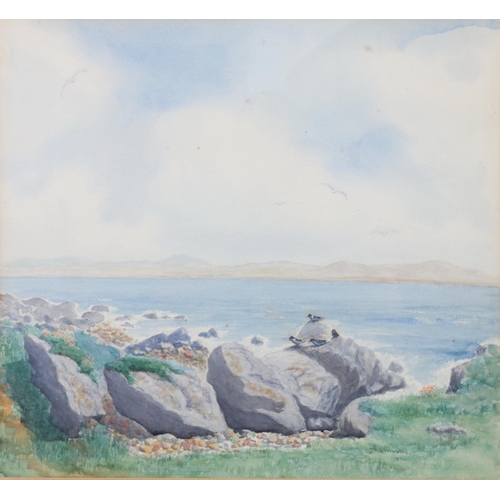 468 - J R S WILSON, oystercatchers on rocks, watercolour, signed and dated 1984 lower right, 42cm x 46cm.&... 