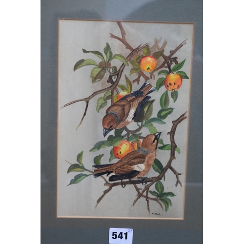 541 - M MUIR, birds on an apple tree, watercolour, signed lower right, 25cm x 16cm, a print of a collie do... 