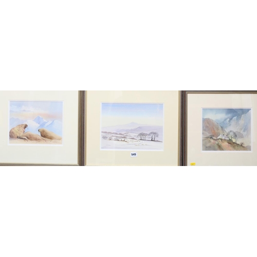 545 - DAVID BELLAMY (British b1943), Three works: Cottage in Moelwynion; Brentor Dartmoor; Walrus Siesta, ... 