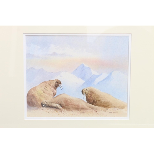 545 - DAVID BELLAMY (British b1943), Three works: Cottage in Moelwynion; Brentor Dartmoor; Walrus Siesta, ... 