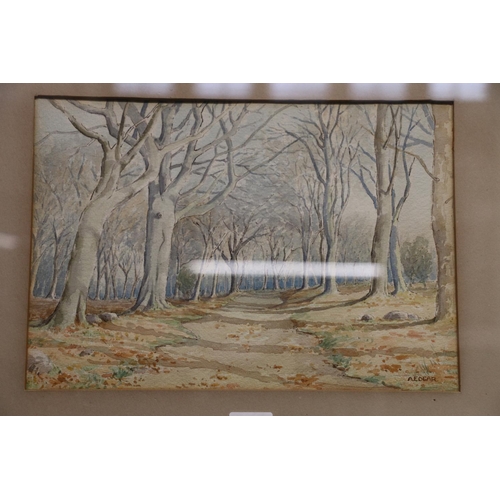 460 - A EDGAR, forest in winter, watercolour, signed lower right, 21cm x 31cm, 