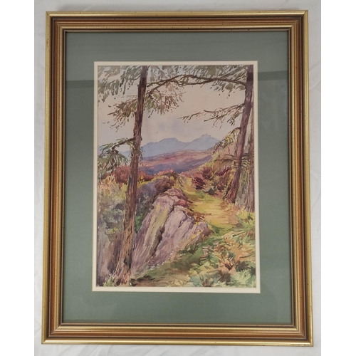 171 - Eleanor Louisa Gresley (British 1862-1941).'Above Garth Aran, Bettws -Y -Coed'.Watercolour.34cm x 24... 