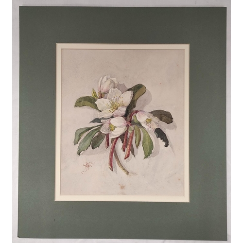 200C - Wilhemena Mary Gresley (British 1853-1933).'Muscat Roses'.Watercolour.15cm x 34cm.Inscribed and sign... 