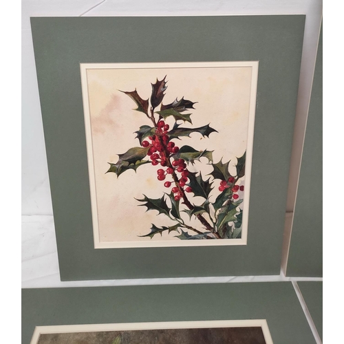 200D - Wilhemena Mary Gresley (British 1853-1933).'Anything You Like', still life of holly.Watercolour.23cm... 