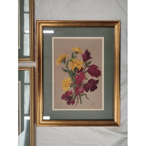 200F - Wilhemena Mary Gresley (British 1853-1933).Corn Marigold, Leaves of the Ladder Rose'.Watercolour.24c... 