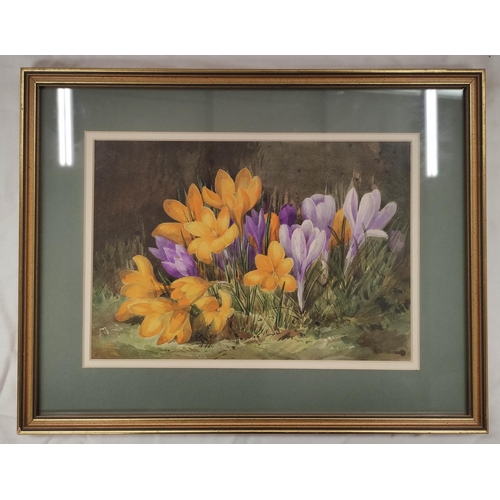 200F - Wilhemena Mary Gresley (British 1853-1933).Corn Marigold, Leaves of the Ladder Rose'.Watercolour.24c... 