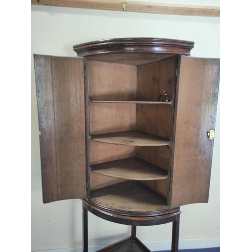 493 - Georgian oak bow front corner cupboard with twin doors enclosing shelved interior, raised on wooden ... 