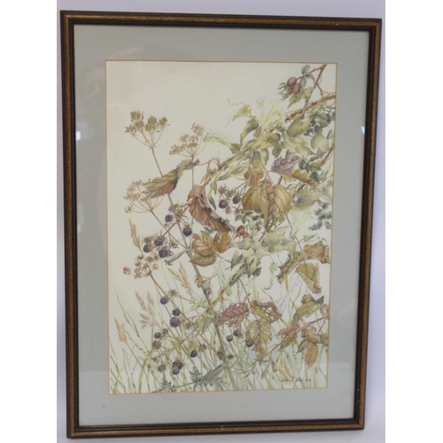 246 - Jane Delavigne (20th Century British School).Hedgerow.Watercolour over pencil.56cm x 38cm.Signed, in... 