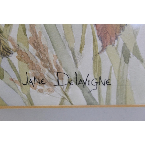 246 - Jane Delavigne (20th Century British School).Hedgerow.Watercolour over pencil.56cm x 38cm.Signed, in... 