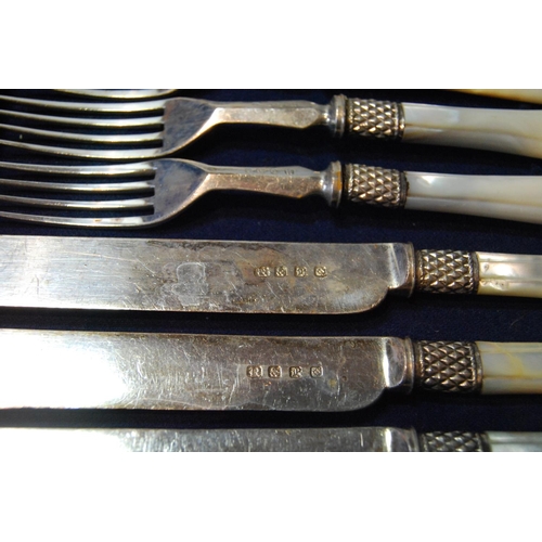 137 - Set of twelve close plated fruit knives and twelve forks with pearl handles, cased.