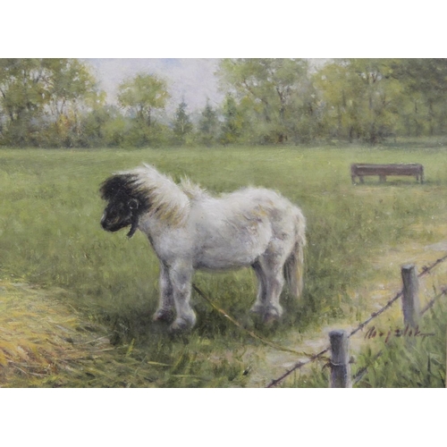 295 - A. F. Majzlik (20th Century British).Shetland pony.Oil on copper.8cm x 11cm.Signed.Also still life o... 