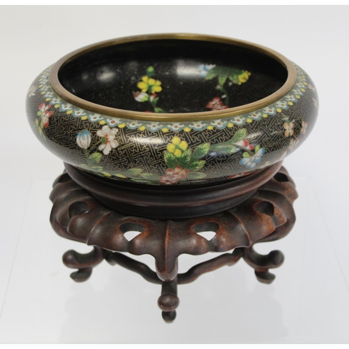 328 - 19th or early 20th century Chinese black cloisonné shallow circular bowl with polychrome flor... 