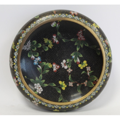 328 - 19th or early 20th century Chinese black cloisonné shallow circular bowl with polychrome flor... 