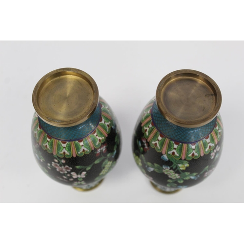 329 - Pair of late 19th/early 20th century Chinese black cloisonné vases of baluster form with polychrome ... 