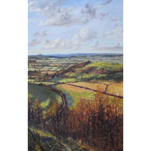 62 - Laurence J Belbin (20th Century)FarmlandsSigned, oil on MDF board, 149cm x 93.5cm, unframed.... 