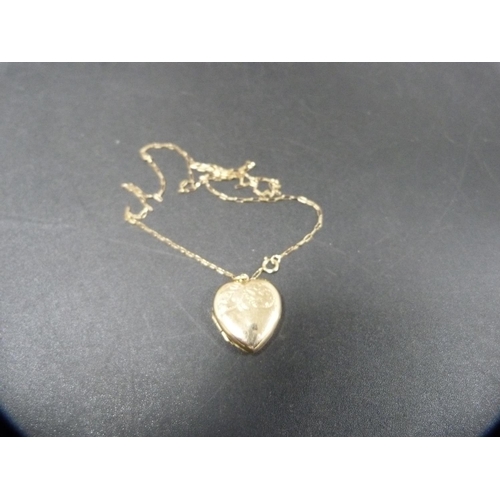 250 - 9ct gold locket on chain, 4.3g gross.