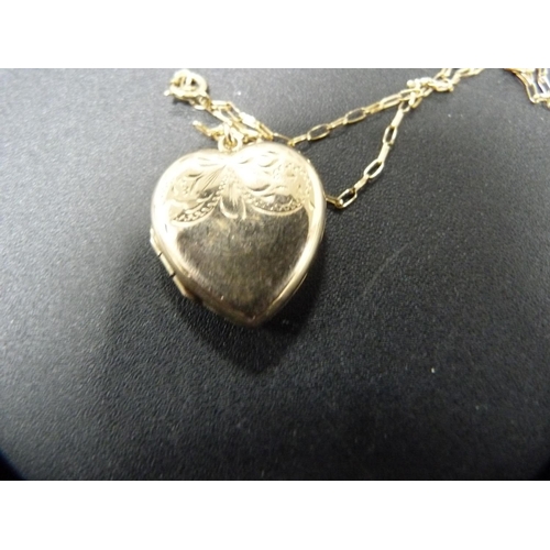 250 - 9ct gold locket on chain, 4.3g gross.