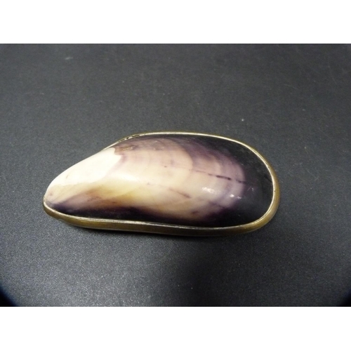 266 - Cowrie shell brass-mounted snuff box, engraved 'To T Gilbertson' on the underside.