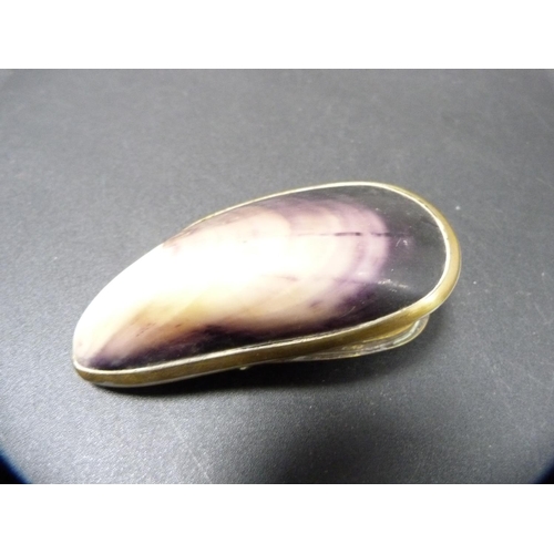 266 - Cowrie shell brass-mounted snuff box, engraved 'To T Gilbertson' on the underside.