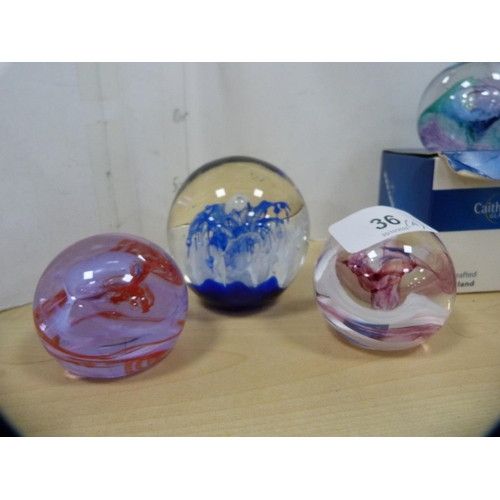 36 - Three Caithness Glass paperweights and another.  (4) 