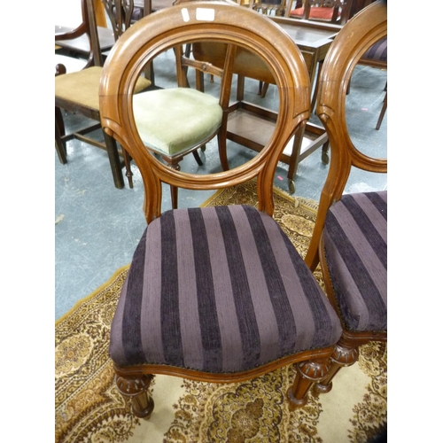 476 - Pair of mahogany balloon-back chairs.