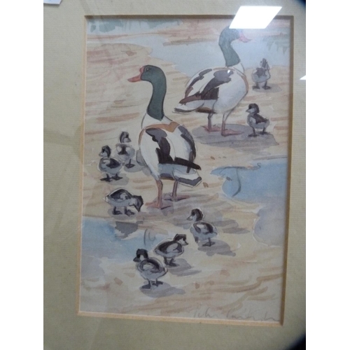 76 - Pencil signed pictures of ducks, a print of 