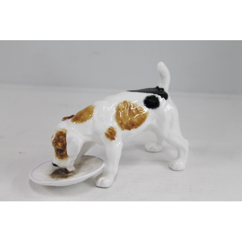 65 - Royal Doulton HN1158 Jack Russell Character Dog licking a plate.