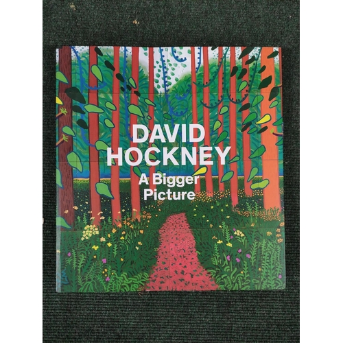 166 - HOCKNEY DAVID.  6 illus. quarto vols. re. David Hockney.