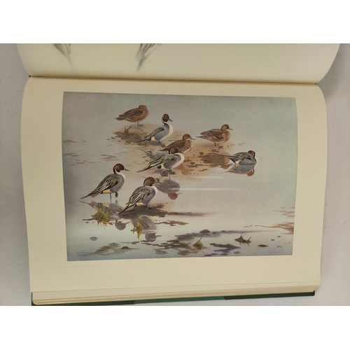 167 - RICKMAN PHILIP.  A Selection of Bird Paintings & Sketches. Signed ltd. ed. 232/500. Tipped in co... 