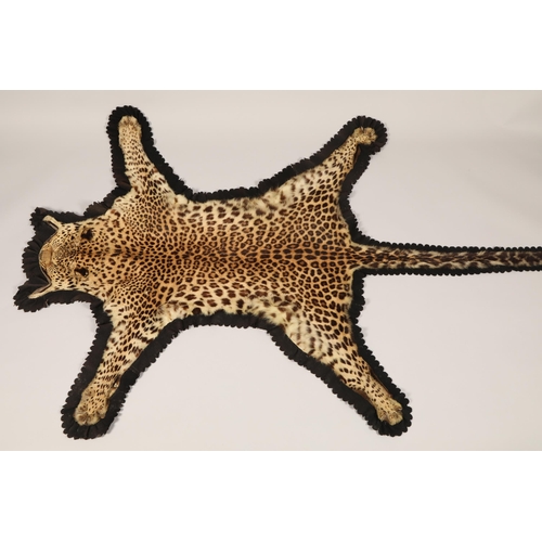 261 - 19th century African Leopard skin, length 208cm