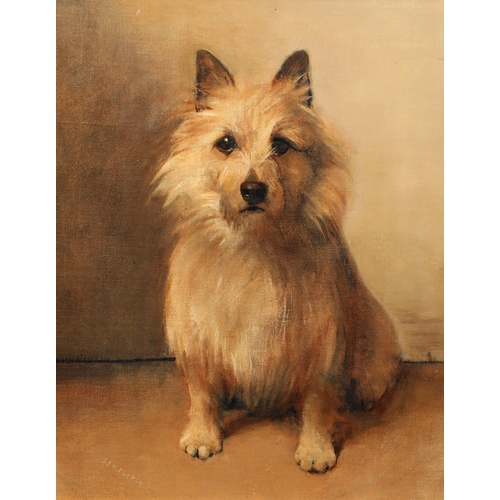 373 - Sam Fulton (Scottish 1855-1943) Framed oil on board, signed, label verso 'Portrait of a Terrier' 41c... 